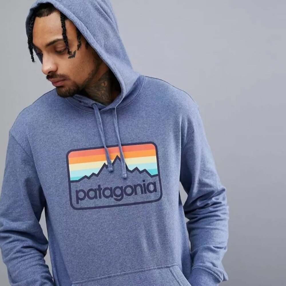 Patagonia Line Logo Badge Lightweight Hoodie